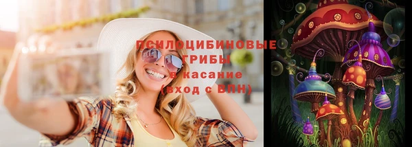 mdpv Горнозаводск