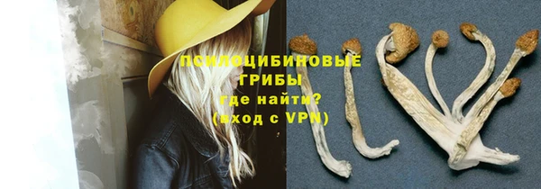 стаф Вязники