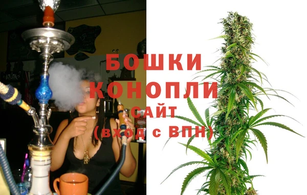 стаф Вязники