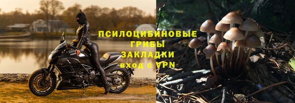 стаф Вязники