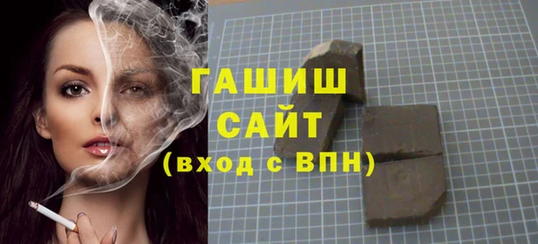 индика Осташков